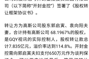 300076股票历史交易数据(300076股票)