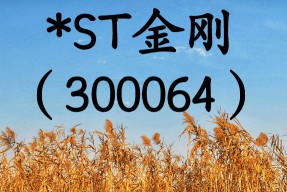 300064的简单介绍