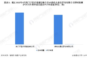 300406资金流向(300406)