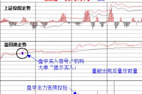 000088盐田港千股千评(000088盐田港)