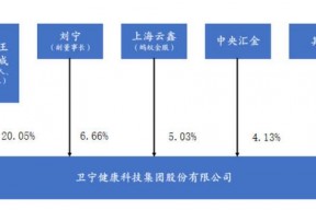 卫信康市值(卫信康股票)