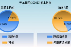 抖音股票300063(300063)