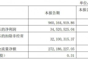 安德利股票股吧(安德利股票)