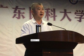 吴镇宇(吴征宇)