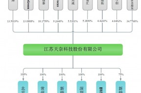 天奈科技股票(天奈科技)