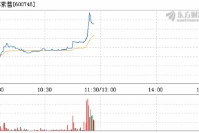 600746股票分析(600746股票)