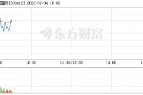 宣亚国际是做什么的(宣亚国际)