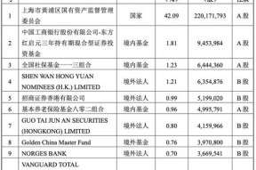 买大众探歌的都后悔啦(大众b股)