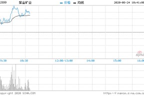 紫金矿业的股票代码是多少(紫金矿业的股票)