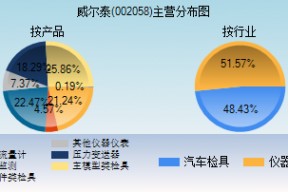 威尔泰股票是做什么的(威尔泰股票)