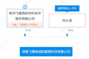 300665 飞鹿股份股(300665)