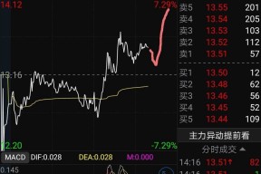 新晨科技公司简介(新晨科技)