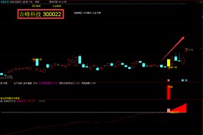 300022吉峰科技股吧(吉峰科技股吧)
