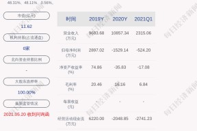 仁智股份是一家什么公司(仁智股份股票)