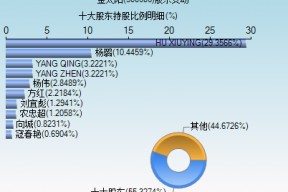 上海金太阳股票(金太阳股票)