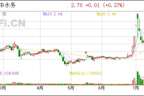 国中水务市值(国中水务股票)