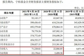 嘉泽新能股票历史行情(嘉泽新能股票)