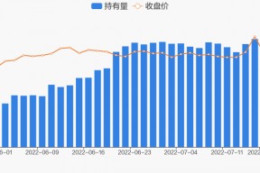 海德股份股票股吧(海德股份)