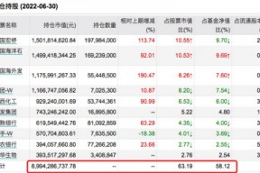 600141兴发集团股票(600141)