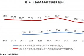 泛海控股股票拍卖价格(泛海控股股票)