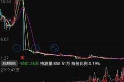 爱康科技股价历史最高多少(爱康科技股价)