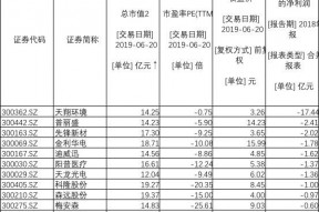 300210目标价(300210)