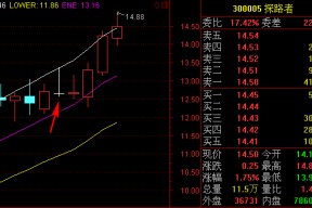 罗顿发展股票吧(罗顿发展股票)