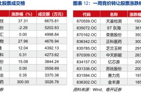 久日新材股票发行价是多少(久日新材股票)