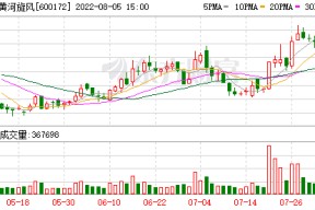 600172资金流向五档盘口股评(600172)
