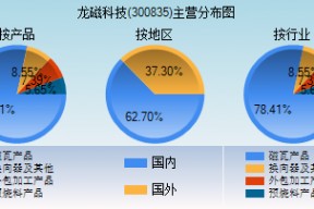 龙磁科技是做什么的(龙磁科技)