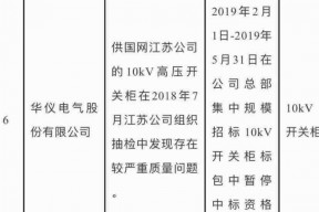 600290华仪电气股票(华仪电气股票)