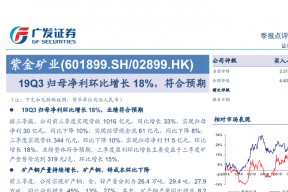 紫金矿业股票6019(601899紫金矿业)