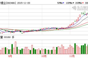 002466天齐锂业股票诊股(002466天齐锂业股票)