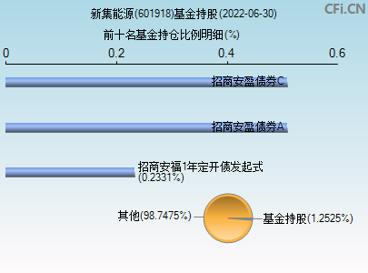 新集能源董事长(新集能源)  第2张