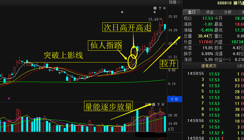 xd股票是什么股票(神马股份股票)  第1张