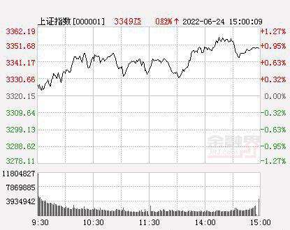 峨眉山a股票代码(峨眉山a股票)  第2张