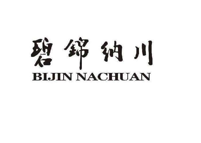 纳川作品集(纳川)  第2张