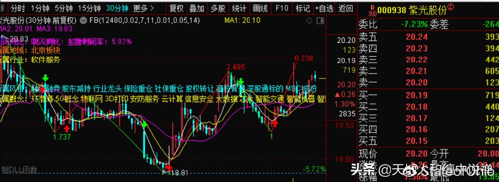 600238历史交易数据(600238)  第1张