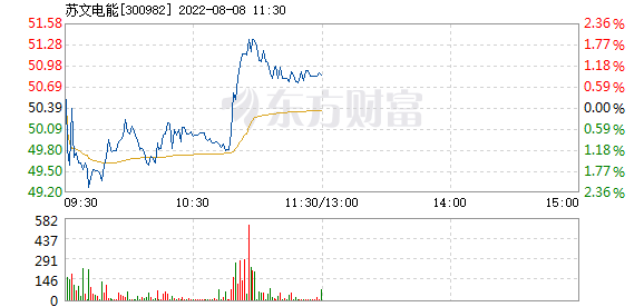 苏文电能岗位等级(苏文电能)  第1张