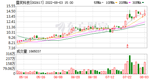 002617 露笑科技股(002617露笑科技股吧)  第1张