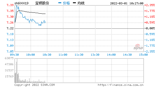 宝钢股票能长期持有吗(宝钢股票)  第1张