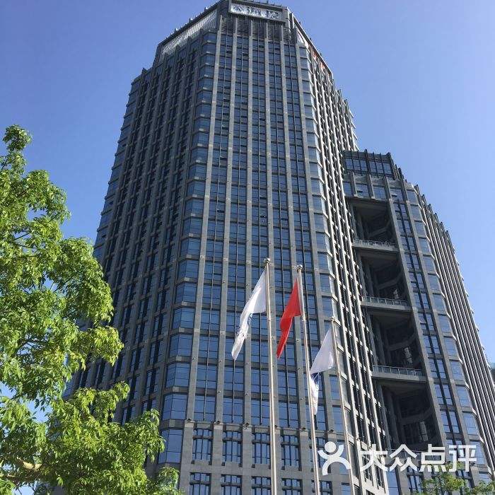 海投自贸国际(海投)  第1张