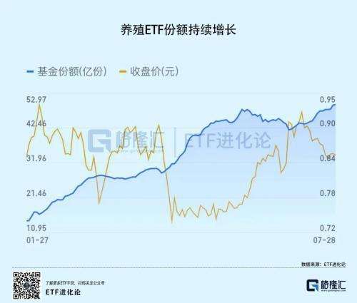 000702正虹科技一季报(000702正虹科技)  第2张