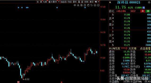 002358森源电气股票(森源电气股票)  第2张