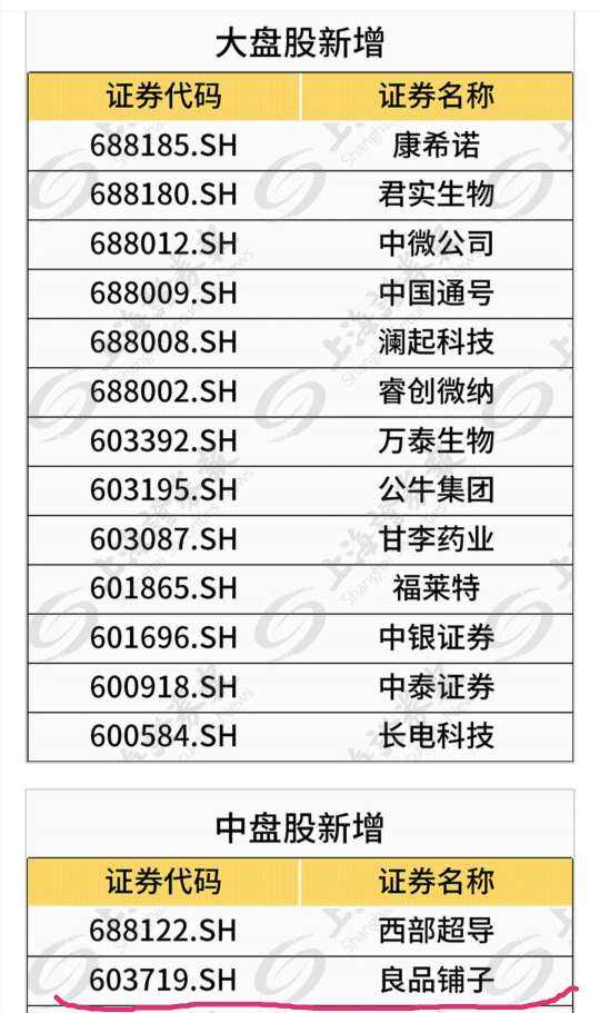 603719股票(603719)  第1张