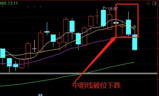 600332股票股票(600332股票)  第2张