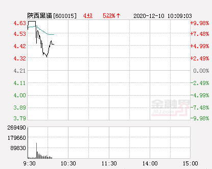 601015陕西黑猫股票(陕西黑猫股票)  第2张