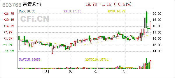 常青股份上市时间(常青股份)  第2张