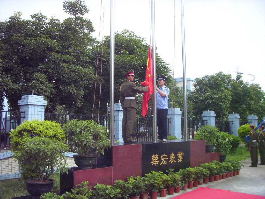 华宏科技股票(华宏)  第2张